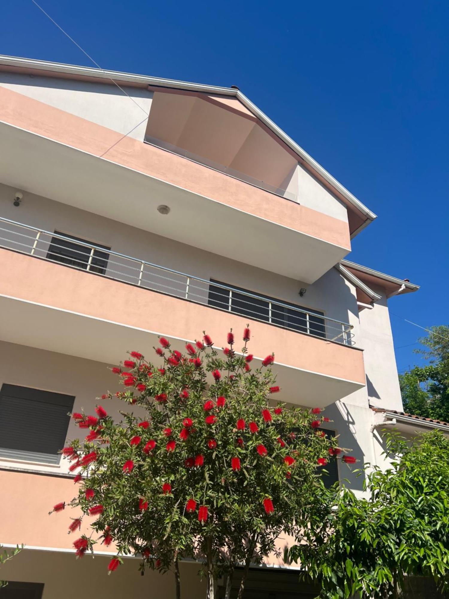 Flower Terrace Apartment จีโรคาสเตอร์ ภายนอก รูปภาพ